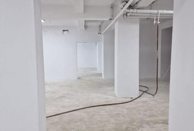 Teren de 370 mp, în Cișmigiu - 3