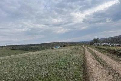 Teren extravilan Perieni, cota parte 6/16 , ID: R2822105 - 1