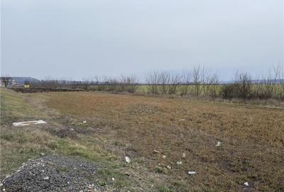 Teren de 8397 mp, în Central - 3