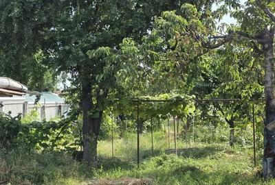 Casă cu 3 camere cu Teren 348 Mp în Central - 5