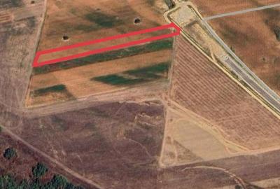 Spațiu comercial, în Bâlta - 1