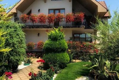Casă cu Teren 2000 Mp în Oncea - 3