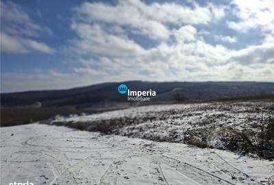 Spațiu comercial, în Central