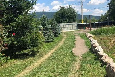 Casă cu 3 camere cu Teren 2000 Mp în Vad - 2