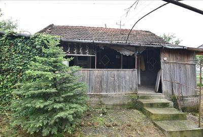 Casă individuală cu 2 camere cu Teren 3132 Mp în Almașu Mic (Balc) - 12