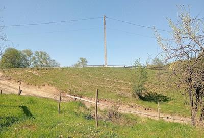Teren de 1800 mp, în Varvata - 4
