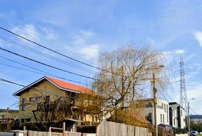 Teren de 1320 mp, în Făget - 3