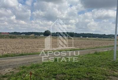 Teren Ghiroda cartier Bistra - toate utilitatile - 3