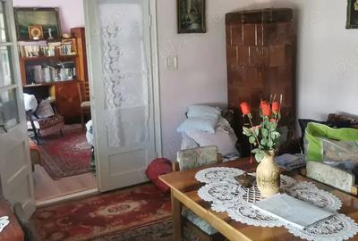 Casă cu 2 camere în Sebiș - 1