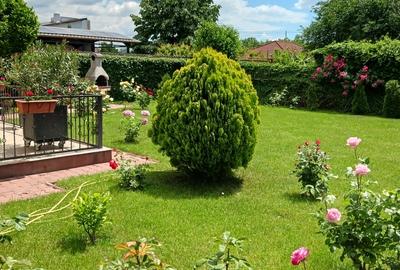 Clinceni, str. Putul Olteni - 3