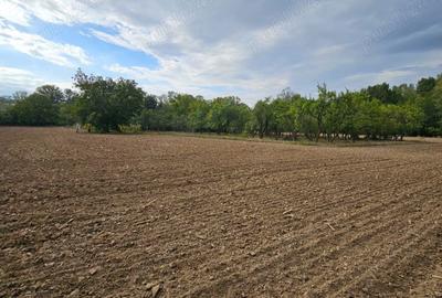 Casă cu 4 camere în Urlueni - 9