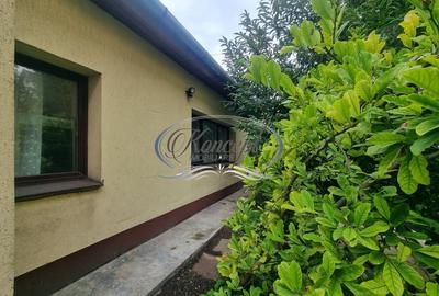 Casa cu terasa si pictura murala originala, centrul Clujului - 11