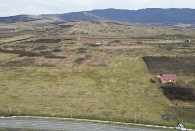 Teren intravilan între Galșa și Mâsca - 11