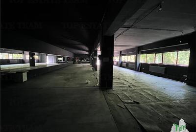 De inchiriat spatii comerciale, hale si birouri - 4