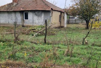 Vand casa si teren la 50 de minute de Bucuresti - 5