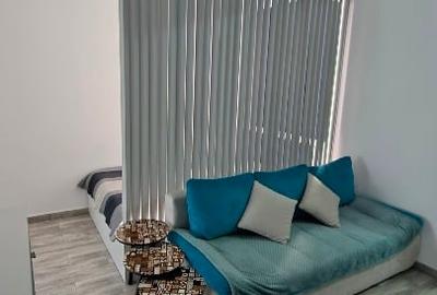 Apartament cu 2 camere semidecomandat, mobilat în Iosefin - 2