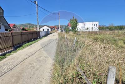 Teren 720mp Sighetu Marmatiei / Strada Lazul Sesului - 2