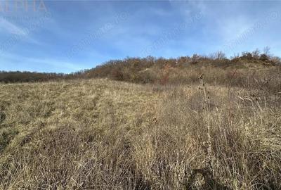 Teren de 1525 mp, în Budacu de Jos - 6