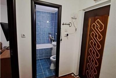 Vanzare apartament 2 camere Titan, Codrii Neamtului - 5