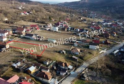 Teren de vanzare in comuna Baicule?ti, sat Tutana, jude? Arge?. - 6