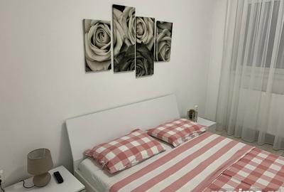 Apartament cu 2 camere în Banu Manta - 4