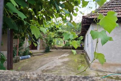 Casă cu 4 camere în Topleț - 1