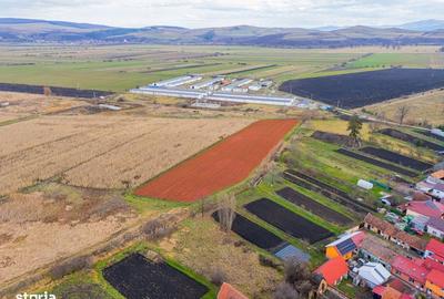 Spațiu comercial, în Bod - 10