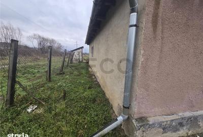 Casă cu 2 camere cu Teren 2685 Mp în Curtuișeni - 6