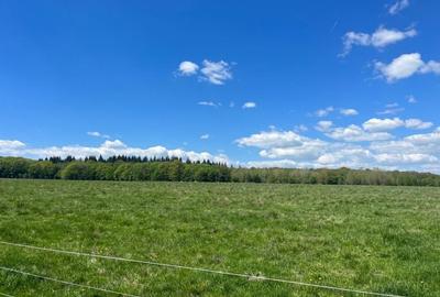 Teren de 12000 mp, în Vlădeni - 5