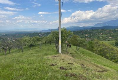 Teren Intravilan panoramic Bran, zona  Bradul Inalt - 5