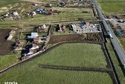 Teren de 15000 mp, în Dumești - 3