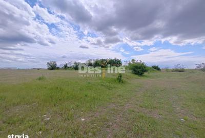 Teren de 114000 mp, în Ariceștii Rahtivani - 5