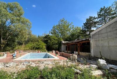 Casă individuală cu 11 camere cu Piscina în Snagov - 3