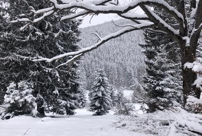 Teren agricol extravilan de 4900 mp, în 13 Decembrie - 2