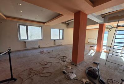 Dristor, Camil Ressu, 15 minute metrou, pe strada Ilioara - 15