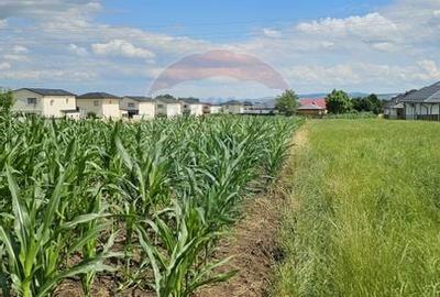 Casă individuală cu 6 camere cu Canalizare în Lisaura - 37