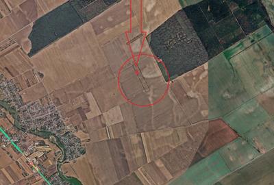 Vanzare teren Frumusani - 4