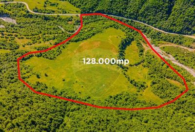 Teren 128.000 mp-Sacele-zona Garcini/ Intravilan - 4