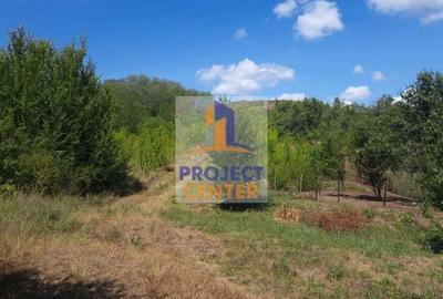 Teren 5000 mp, Calinesti, zona Gorganu - 1