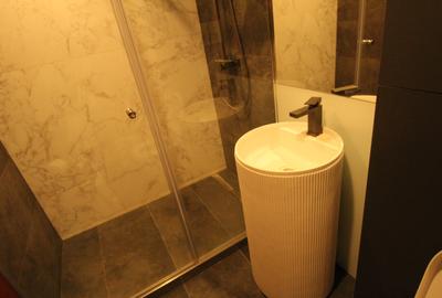 Piata Alba Iulia - Bd. Burebista - bloc mixt - studio complet renovat - 13