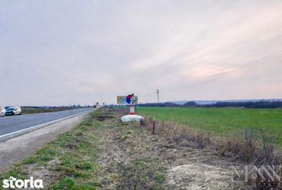 Teren de 15003 mp, în Saca - 2