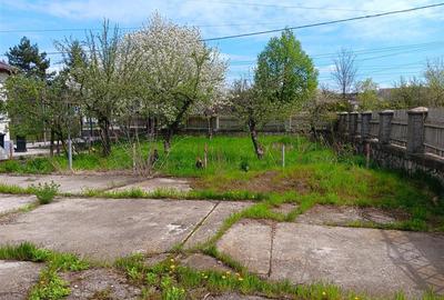 Casă individuală cu 4 camere cu Teren 4239 Mp în Bădeni - 2