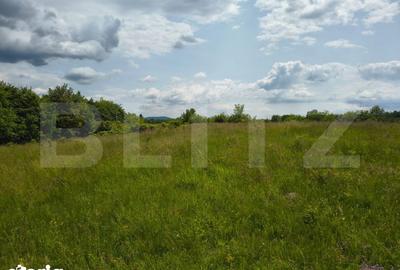 Teren de 5000 mp, în Teișani - 7