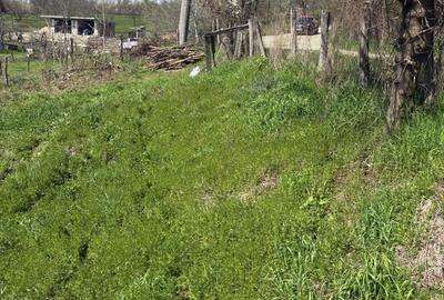 Teren de 376 mp, în Exterior Vest - 7