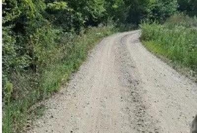 Teren extravilan Sotanga, ID: R2590381 - 1