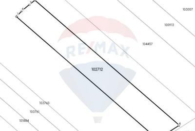 Teren de 80000 mp, în Hălchiu - 5