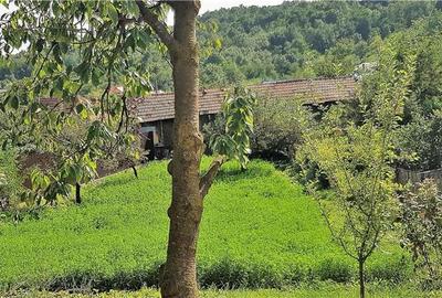 Casă cu 6 camere cu Teren 2000 Mp în Bătrâni - 7