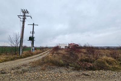 Teren Construcții intravilan de 2000 mp, în Balotești
