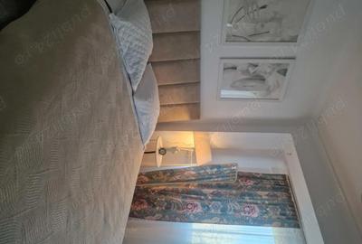 Apartament cu 2 camere în Mogoșoaia - 10