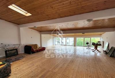 Casa ideala pentru birouri/alte activitati Mehala - 34